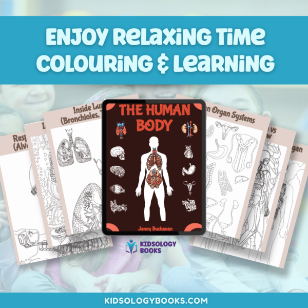 Colour In The Human Body eBook by Kidsology books