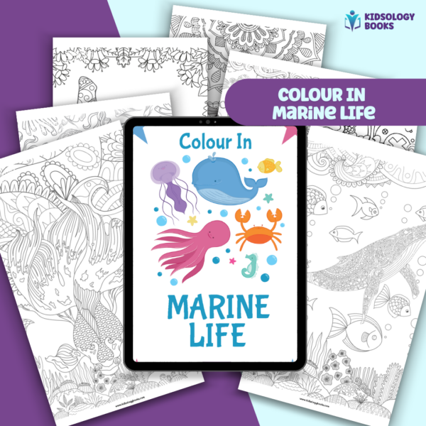 Colour In Marine Life eBook by Kidsology books