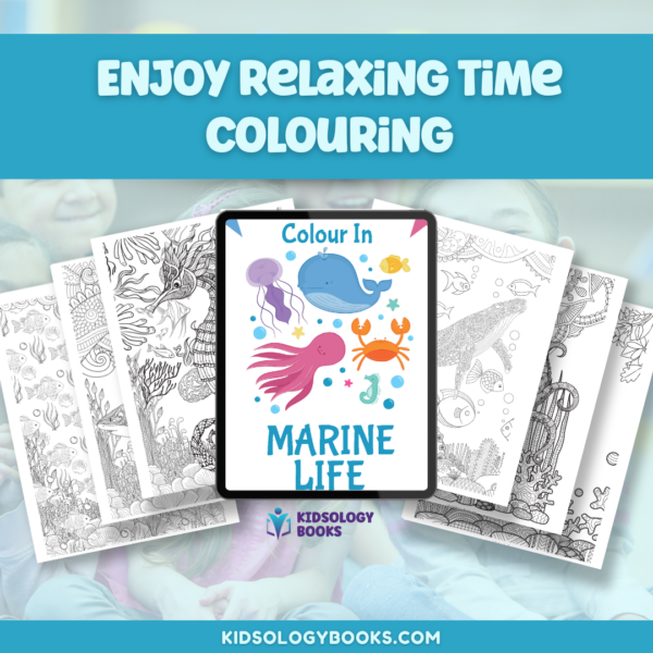 Colour In Marine Life eBook by Kidsology books