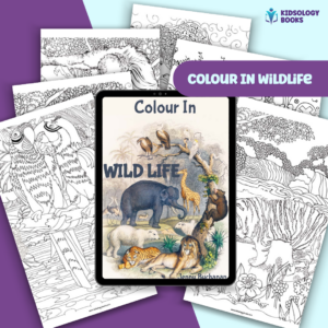 Colour In Wildlife eBook by Kidsology books