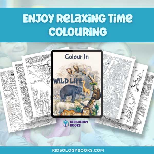 Colour In Wildlife eBook by Kidsology books